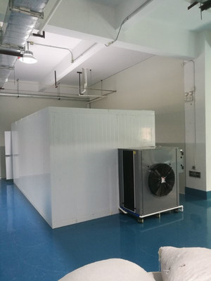 Cherry Dryer