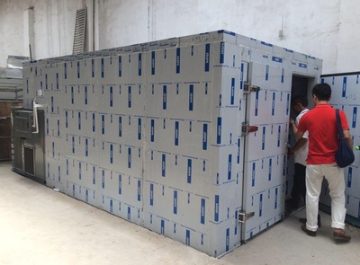 Black Fungus Dryer