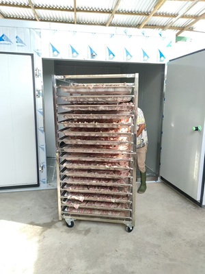 狗母鱼烘干机干燥设备