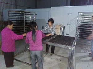 桑葚烘干机 空气能热泵桑果烘干设备