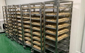 Petfood Dryer
