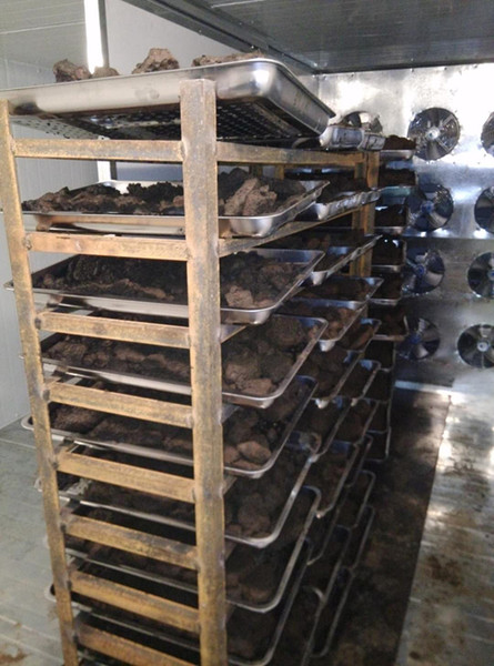 Food Industry Sludge Dryer