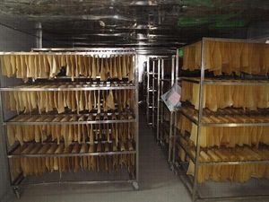 Rubber Dryer