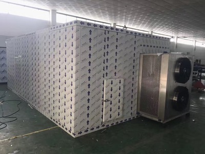 百香果烘干机 热风循环鸡蛋果干燥箱