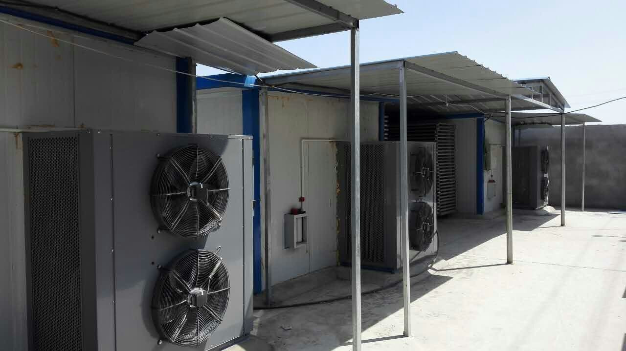 Goji Berry Drying Project in Gansu