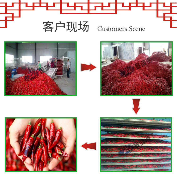 辣椒客户现场1.jpg