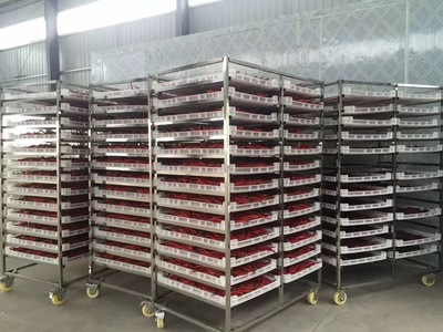 Stainless steel drying trolley HR-DT-03