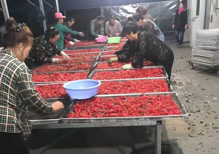文章附图