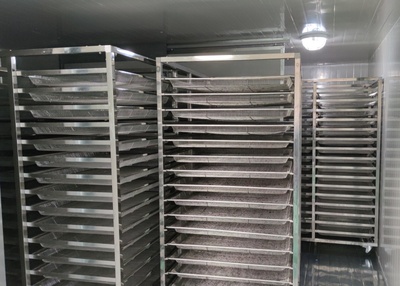 Stainless steel drying trolley HR-DT-02