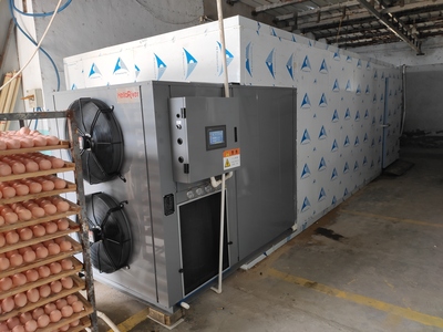 工业海绵烘干机 热风循环耳机套海绵干燥设备